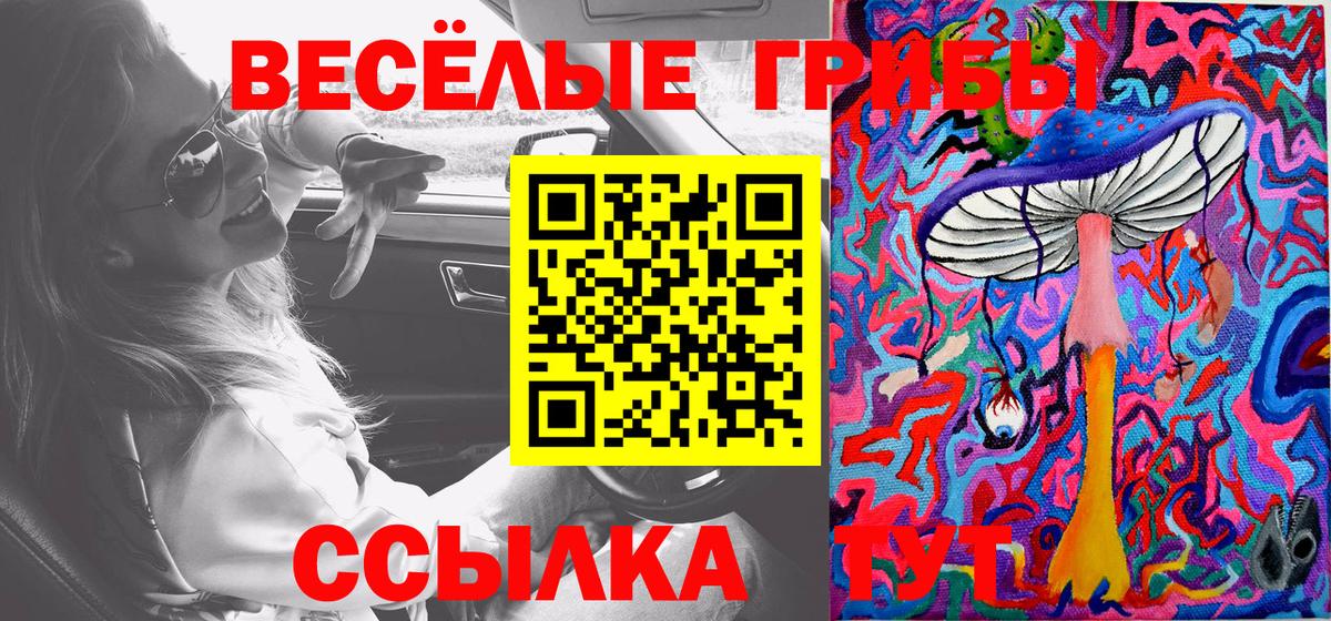 Галлюциногенные грибы прущие грибы  Вход с VPN  Кольчугино 